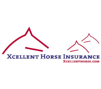 Save Insurance xcellent-horse-1 Home